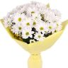 Ромашки от 3 510 руб.